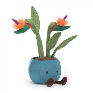 Jellycat Amuseable Bird of Paradise 38 CM X 17 CM | 064157FQK