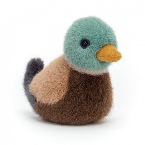 Jellycat Birdling Mallard 10 CM X 7 CM | 167489PAN