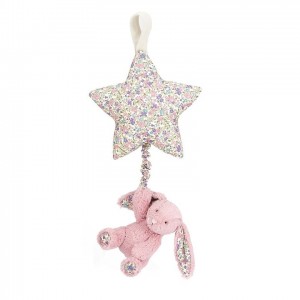 Jellycat Blossom Tulip Bunny Star Musical Pull 28 CM X 19 CM | 213697GVC