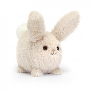 Jellycat Caboodle Bunny 8 CM X 10 CM | 358940GBE