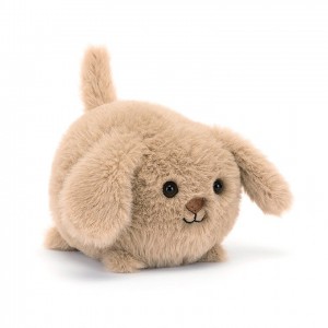 Jellycat Caboodle Puppy 10 CM X 11 CM | 485106GLE