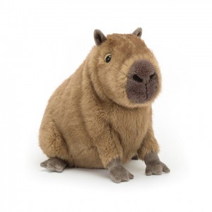 Jellycat Clyde Capybara 21 CM X 24 CM | 395861VKF