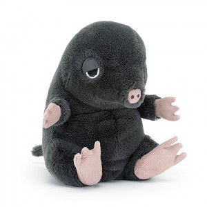 Jellycat Cuddlebud Morgan Mole 16 CM X 10 CM | 957062QJN