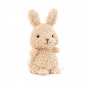 Jellycat Little Bunny 18 CM X 10 CM | 839017CGO