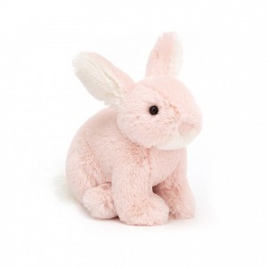 Jellycat Minilop Rose Bunny 10 CM X 7 CM | 591203SBI