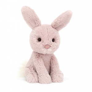 Jellycat Starry-Eyed Bunny 18 CM X 8 CM | 923058UED