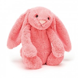 MEDIUM Jellycat Bashful Coral Bunny 31 CM X 12 CM | 475209DAS