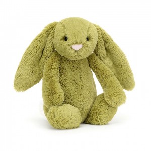 MEDIUM Jellycat Bashful Moss Bunny 31 CM X 12 CM | 867124EDL