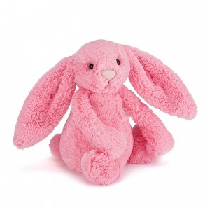 MEDIUM Jellycat Bashful Sorbet Bunny 31 CM X 12 CM | 762941SYD