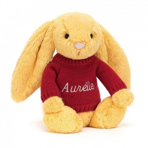 MEDIUM Jellycat Bashful Sunshine Bunny with Personalised Red Jumper 31 CM X 12 CM | 270163FGH