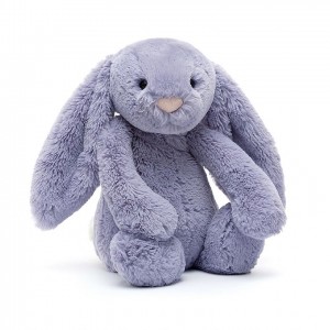 MEDIUM Jellycat Bashful Viola Bunny 31 CM X 12 CM | 804257SZL