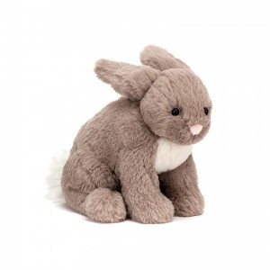 SMALL Jellycat Riley Rabbit Beige 16 CM X 11 CM | 820749QMY